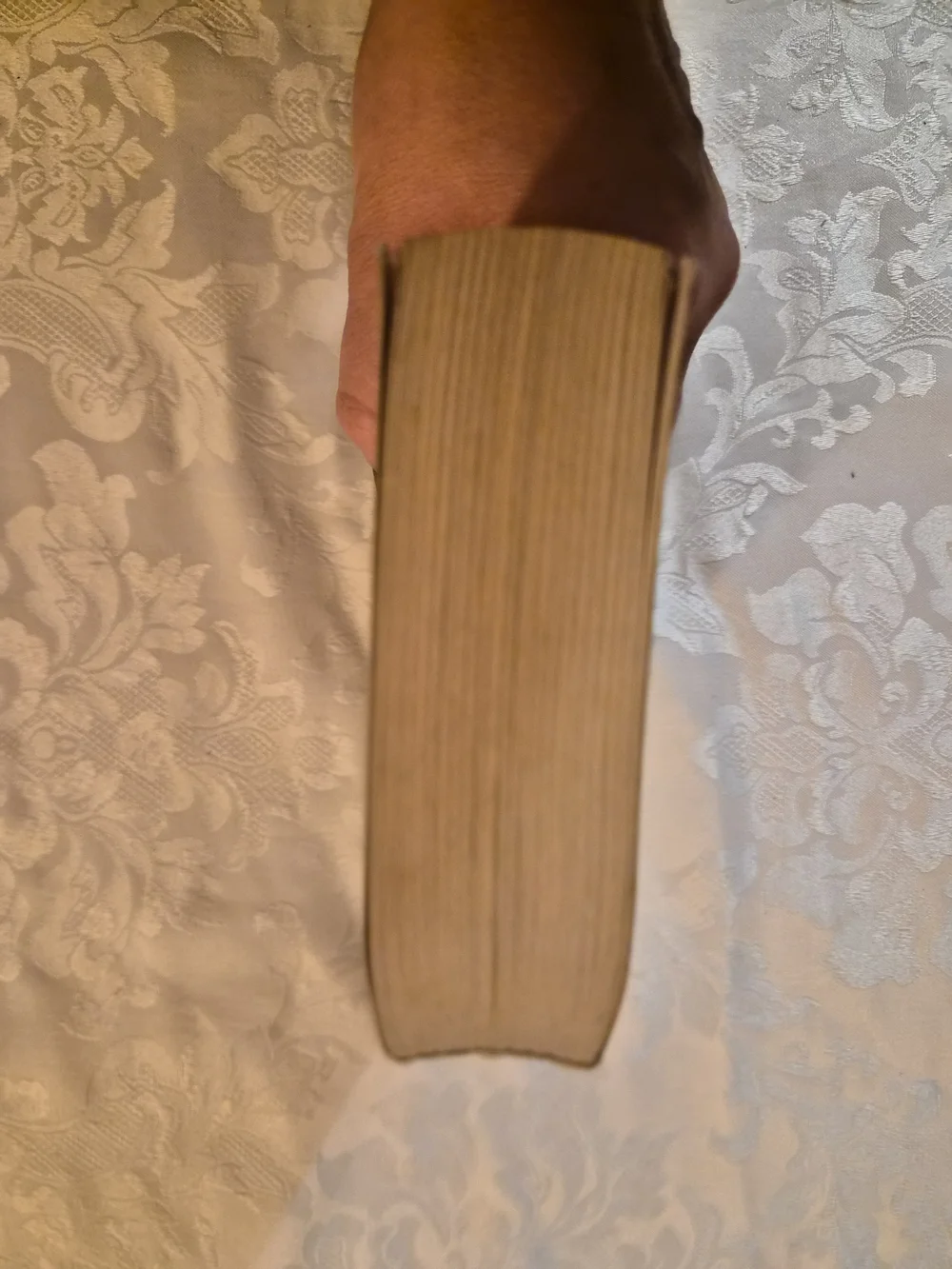 'The Shining' Novel Stephen King